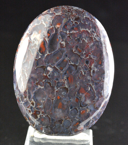 Purple agatized dinosaur bone - agatized,