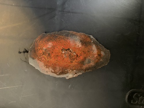 Fossilized dinosaur dino gem - fossilized,